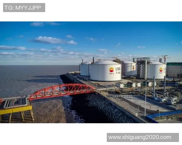 LNG在冠军杯中的团队协作分析与表现评估